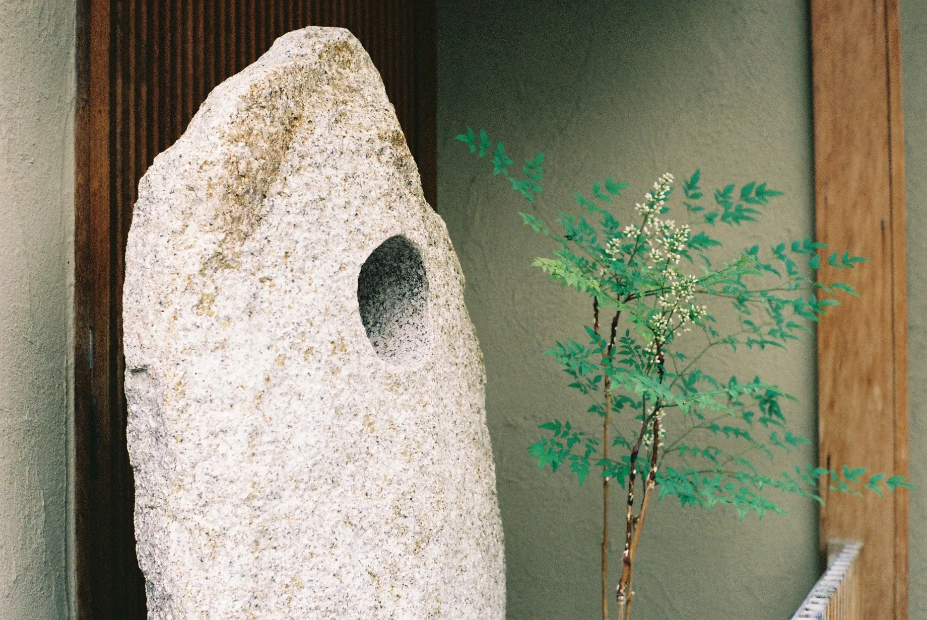 Rough stone sculpture beside a delicate plant